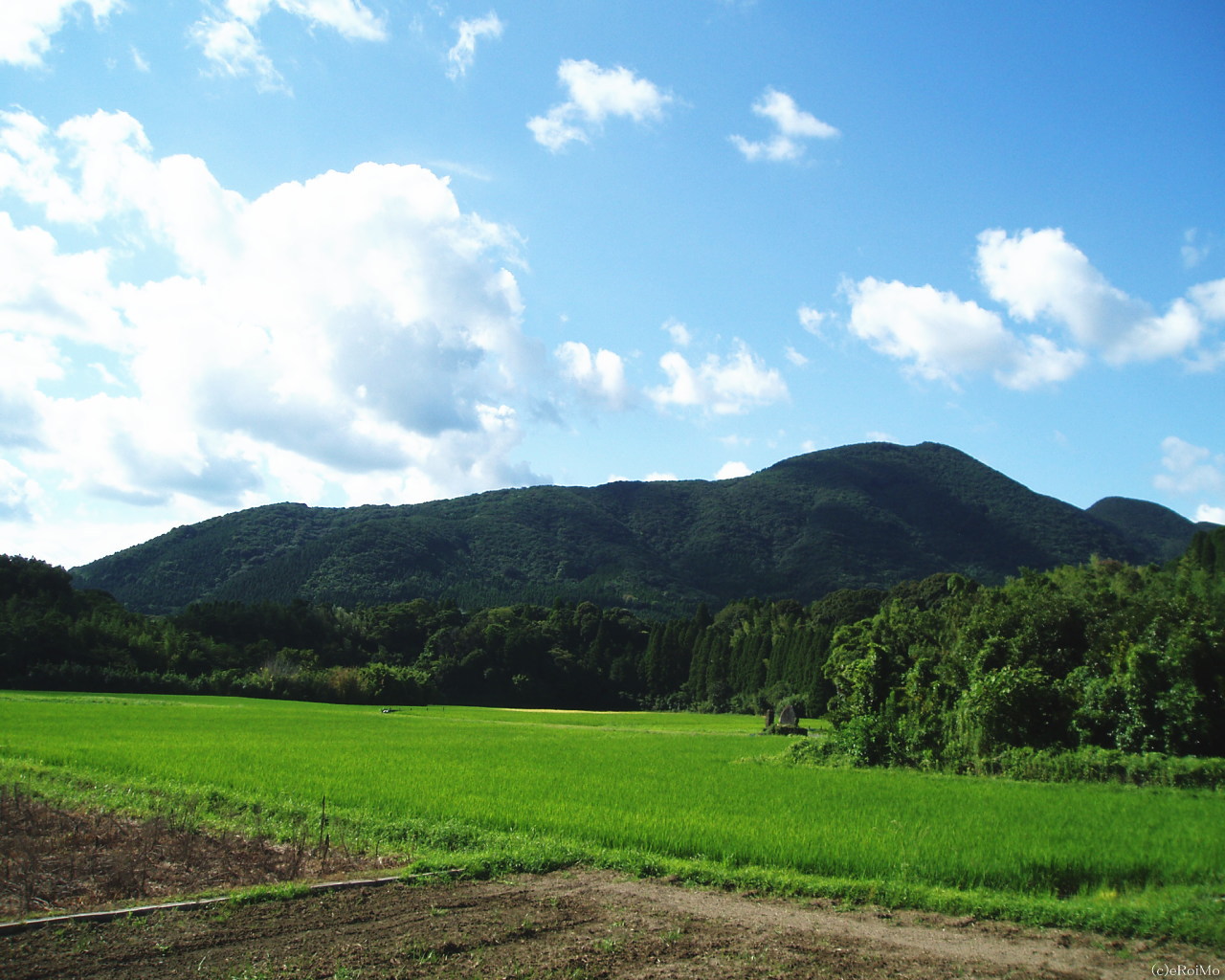 画像 夏成分が多い 日本の風景 まとめ Naver まとめ