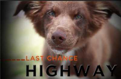 (Last Chance Highway
