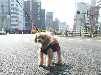 2011_東京マラソン02