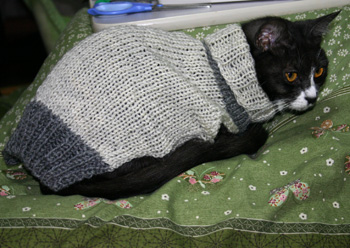 手編みセーター猫081213a