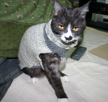 手編みセーター猫081213b