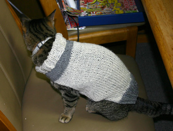 手編みセーター猫081213c