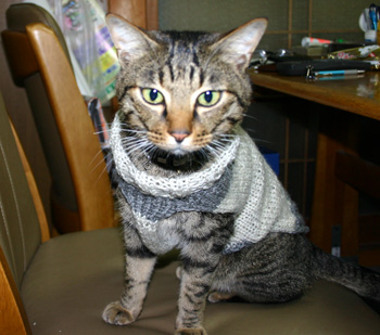 手編みセーター猫081213d