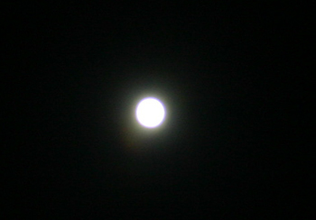 月のお写真・・100826a