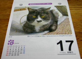 猫ともカレンダー100927b