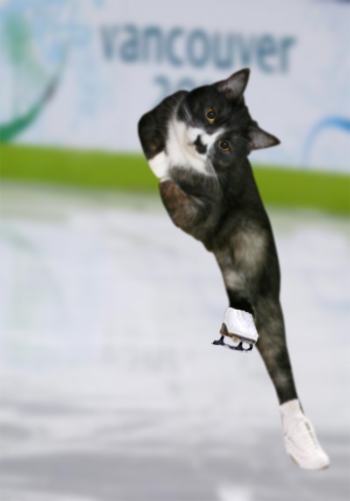 フィギュアスケート猫　その2