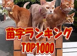 日本人の「苗字（名字）」ランキング TOP1000