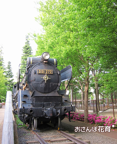世田谷公園の蒸気機関車