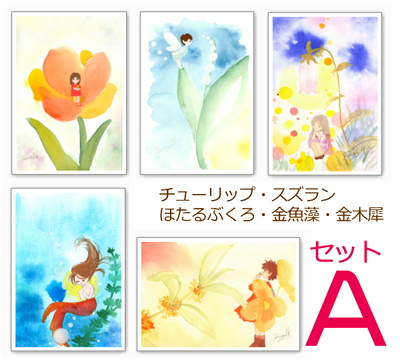 本多るみ『花と妖精』イラストカードセットA