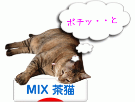 にほんブログ村 猫ブログ MIX茶猫へ