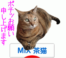 にほんブログ村 猫ブログ MIX茶猫へ