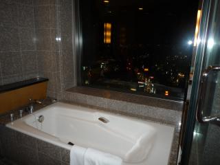 bath view