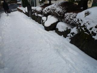 箱根雪景色