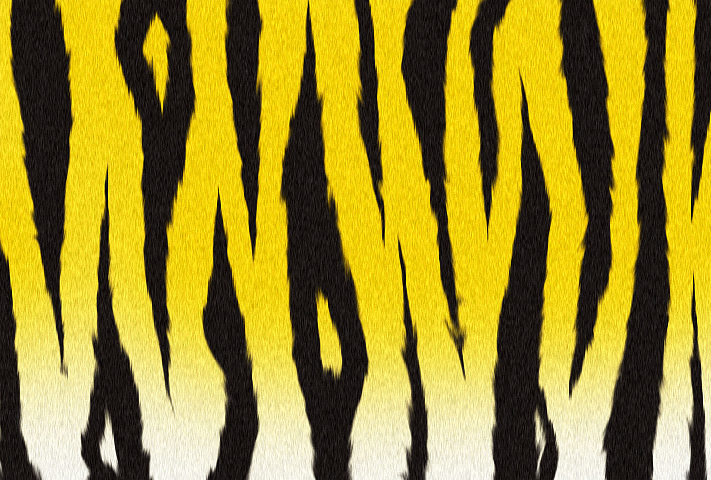 Dtpデザイナーの寄り道 年賀状用フリー素材 トラ柄 虎柄 4種