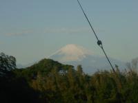エルダハウスからの富士山