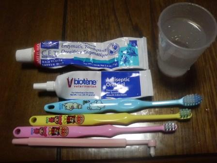 歯磨きgoods