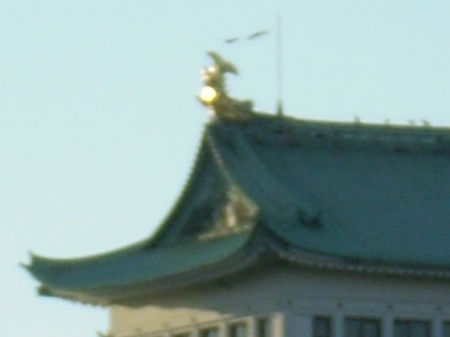 Nagoya Castle 007m