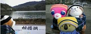 近くには津久井湖もあります。