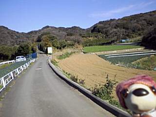 三浦半島といえば大楠山ですが、ここも地元では有名です。