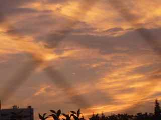 メディシンクの社窓から世田谷公園越しに夕空を眺む