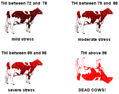 temperature-cow-stress.png