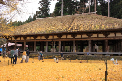 2009新宮熊野神社2