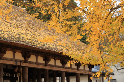 2009新宮熊野神社5