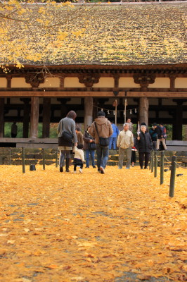 2009新宮熊野神社7