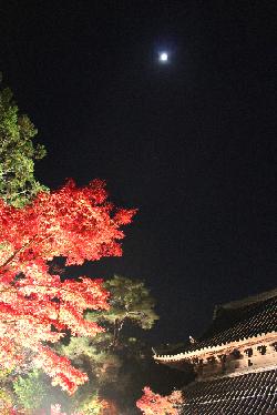 宝福寺と月