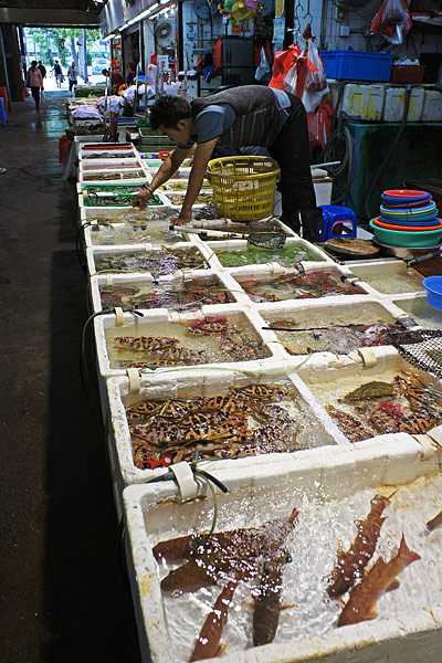 The Passage To The Ferry Pier Is Filled With Fish Preserves