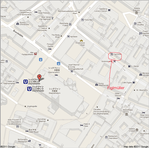 Stephansplatz 1, 1010 Wien, - Google マッフ#12442;