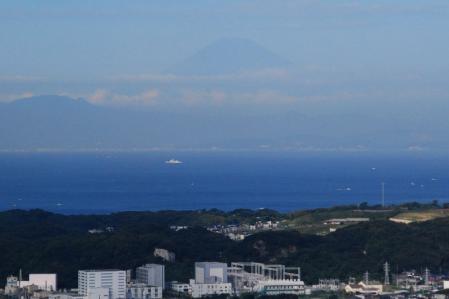 武山からの富士