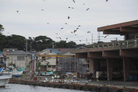 長井漁港