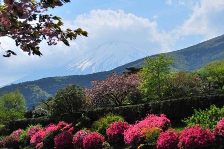 富士霊園