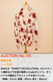 auctionitems05.jpg